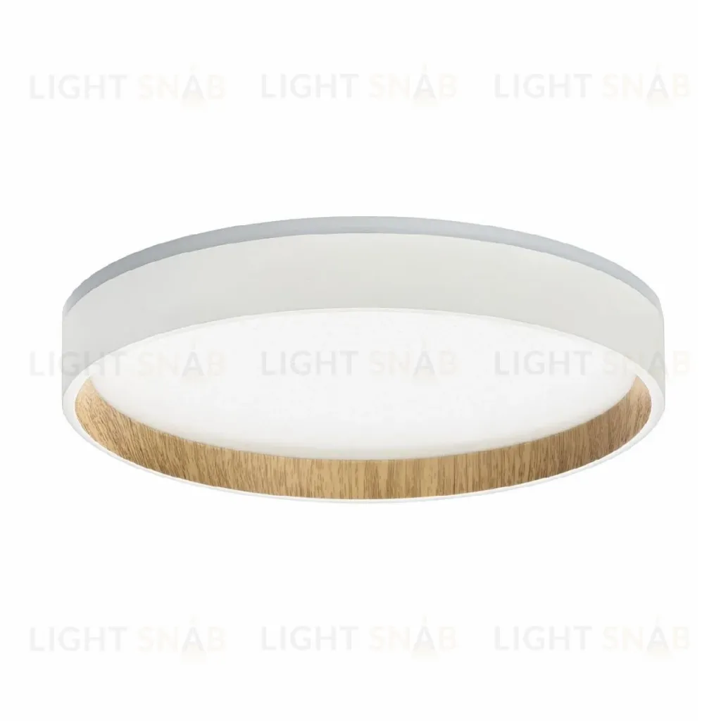 Потолочный светильник Citilux Etalon CL750240 CL750240