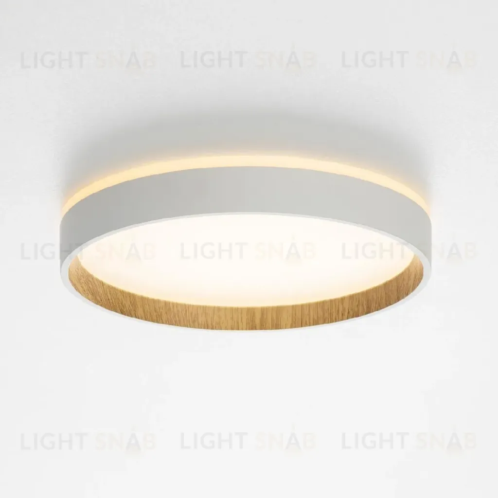 Потолочный светильник Citilux Etalon CL750240 CL750240