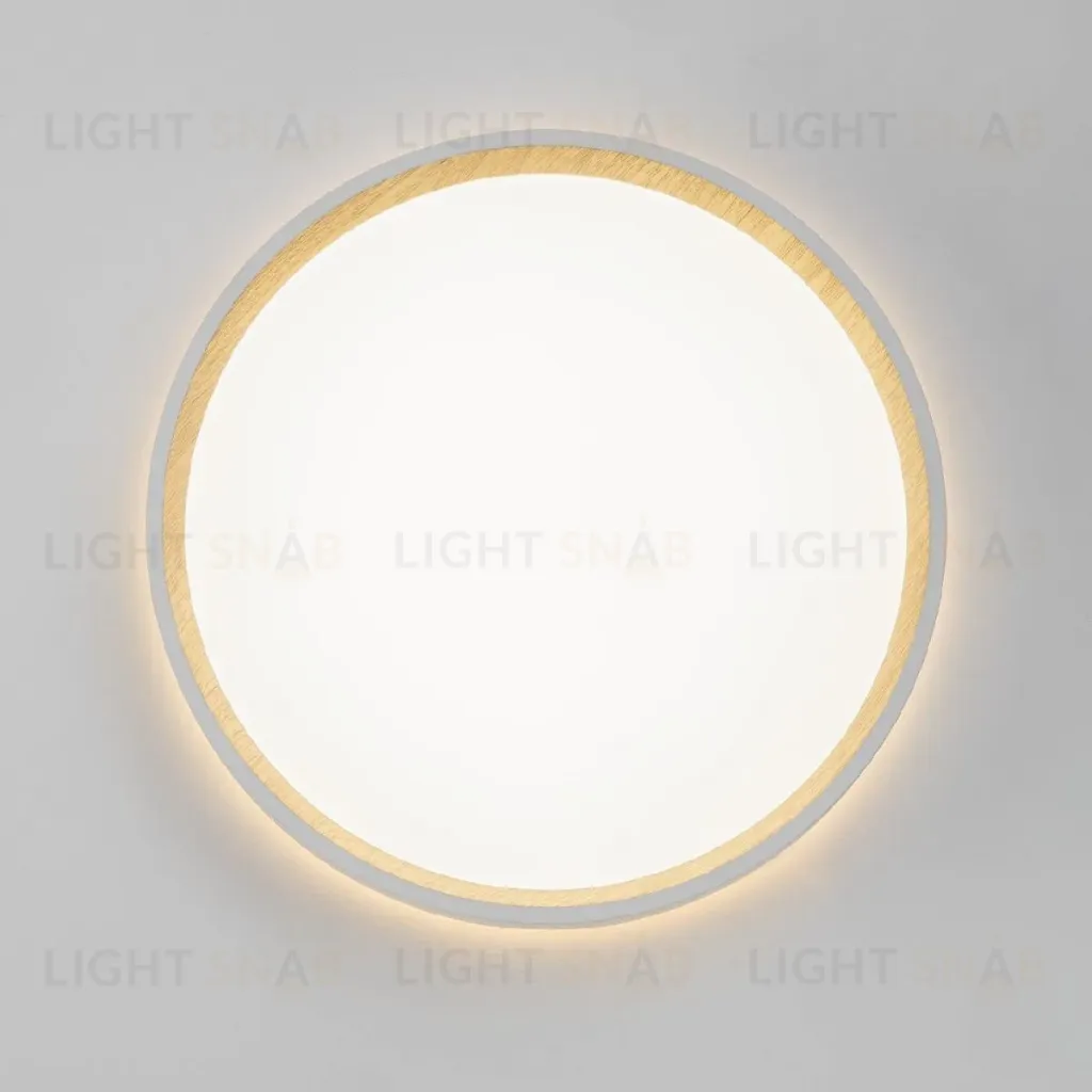 Потолочный светильник Citilux Etalon CL750240 CL750240