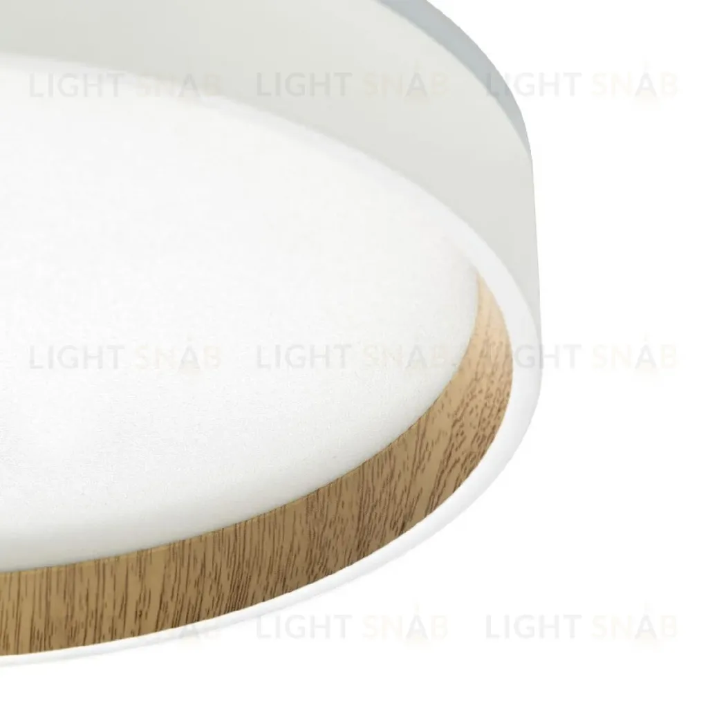 Потолочный светильник Citilux Etalon CL750240 CL750240