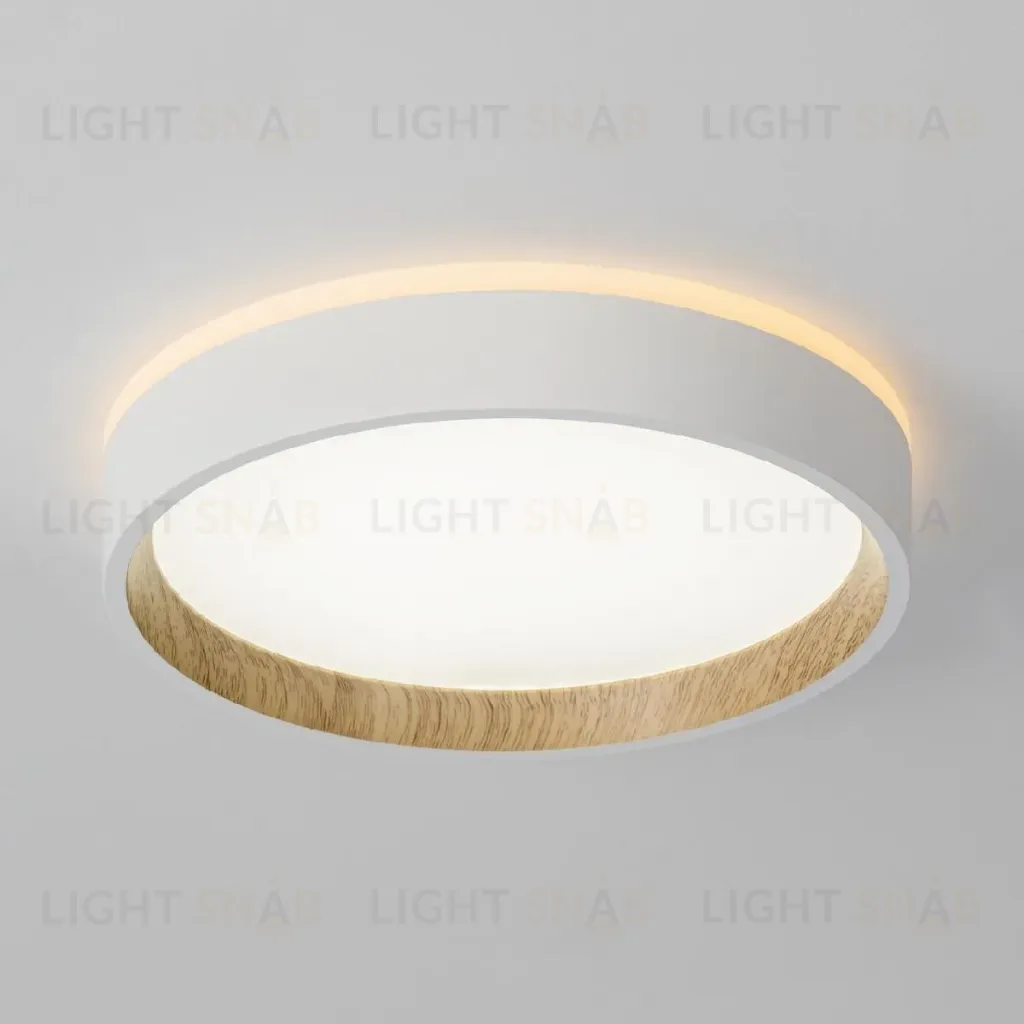 Потолочный светильник Citilux Etalon CL750180 CL750180
