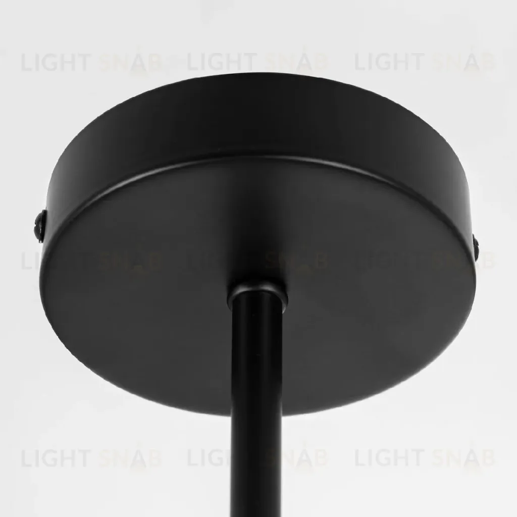 Люстра на штанге Citilux Fisher CL218163 CL218163
