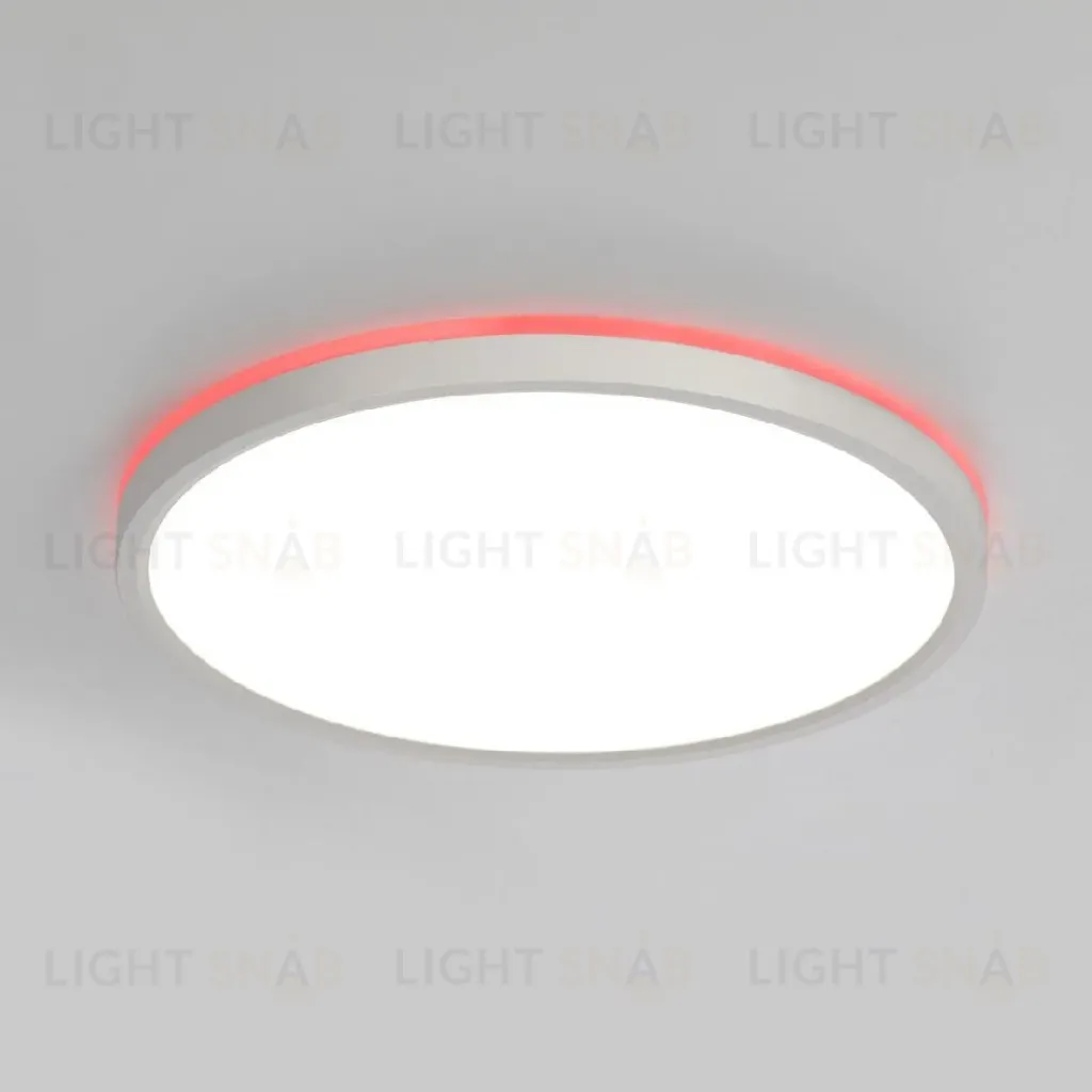 Потолочный светильник Citilux Norma CL749320 CL749320