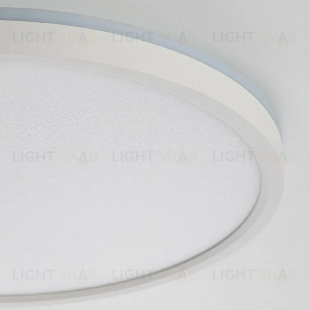 Потолочный светильник Citilux Norma CL749320 CL749320