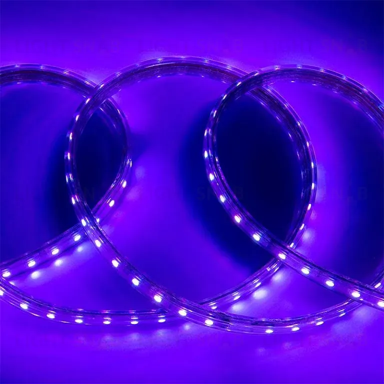 Светодиодная лента General GLS-5050-60-14.4-220-IP67-RGB 505215 505215