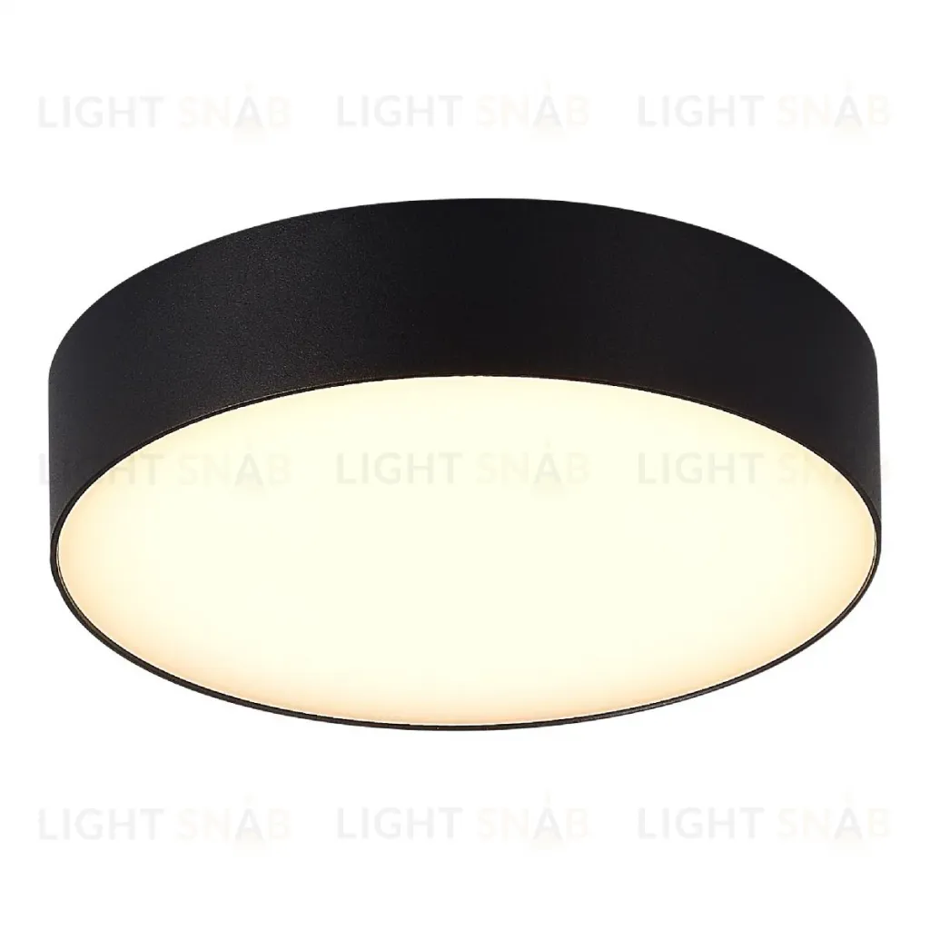 Уличный потолочный светильник ST Luce Sun SL9518.402.01 SL9518.402.01
