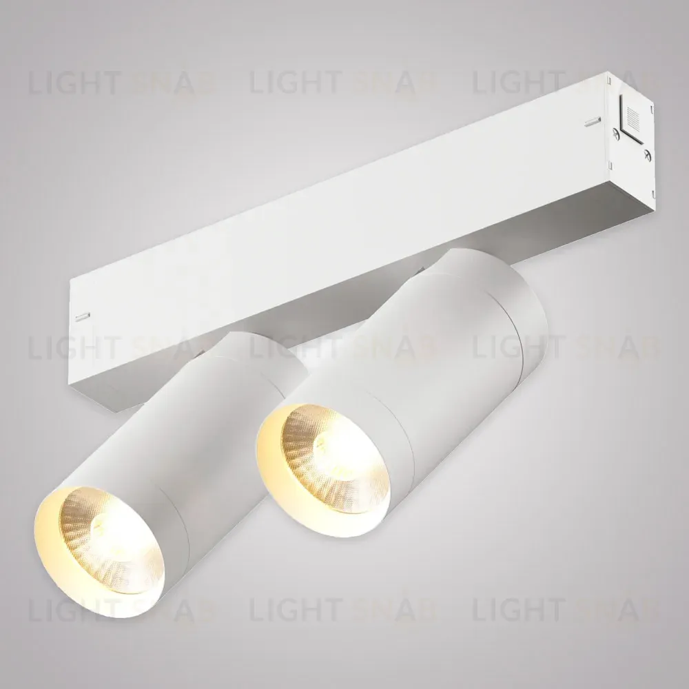 Трековый однофазный светильник AM Group AM528 WH-220V-2X10W SMART AM528 WH-220V-2X10W SMART