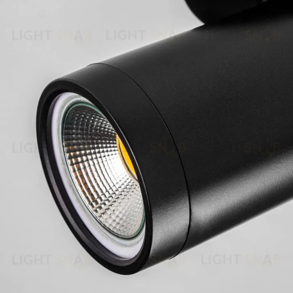 Спот Lightstar Rullo 213407 213407