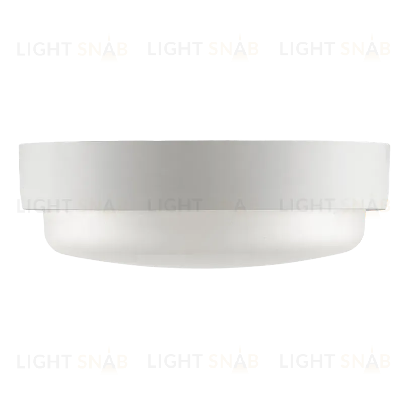 Настенно-потолочный светильник Wolta LCL04-12W-R41-6K-SBA LCL04-12W-R41-6K-SBA
