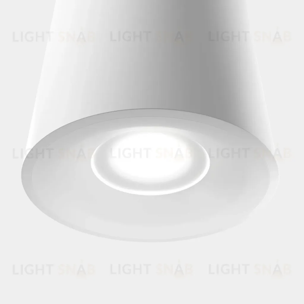 Накладной светильник Lightera Shamrock LE200CL-1W LE200CL-1W