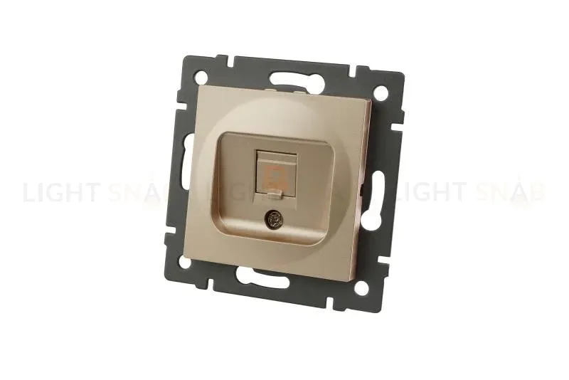 Механизм компьютерной розетки Arlight SCT-MPC1-PL-GD-V (RJ-45, CAT6) 049849 049849
