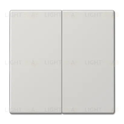 Клавиша 2-ная Jung LS990 LS995LG LS995LG