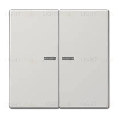Клавиша 2-ная с 2-мя линзами Jung LS990 LS995KO5LG LS995KO5LG