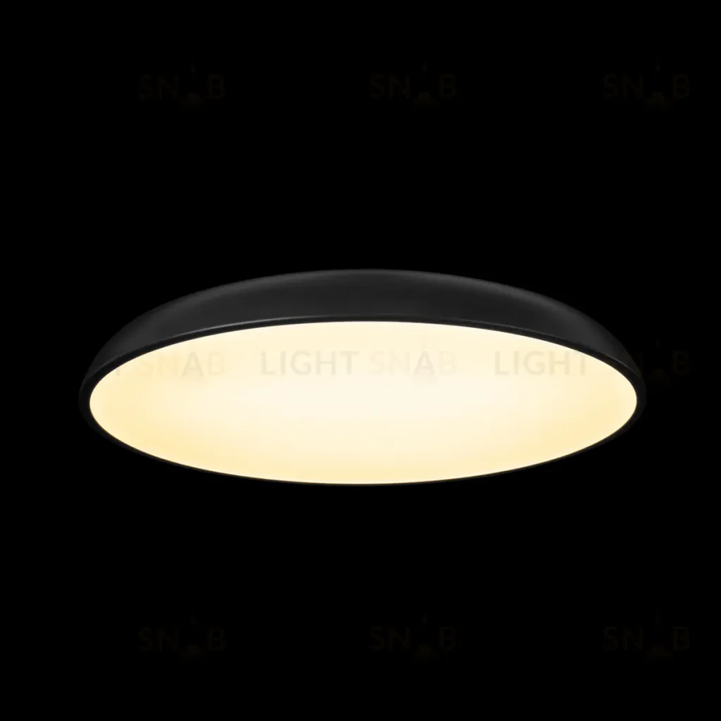 Потолочный светильник Loft IT Dime 10371 Black 10371 Black
