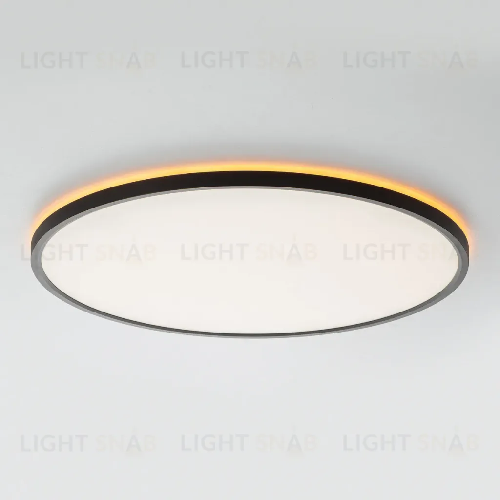 Потолочный светильник Citilux Norma LED RGB CL749501 CL749501