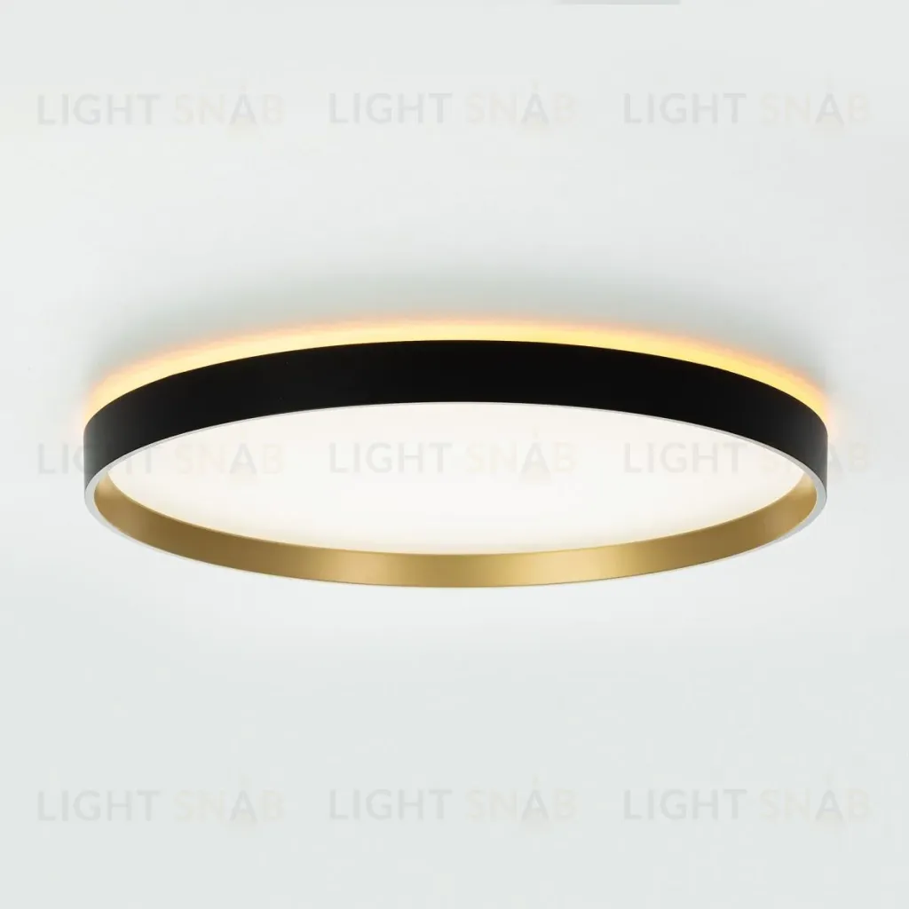 Потолочный светильник Citilux Etalon CL750401R CL750401R