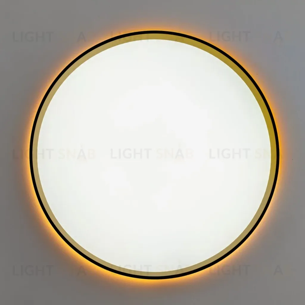 Потолочный светильник Citilux Etalon CL750401R CL750401R