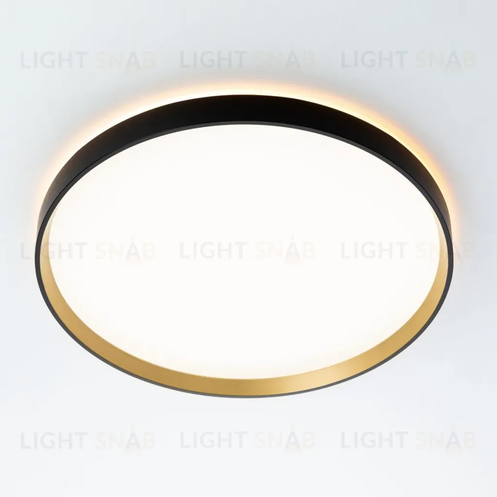 Потолочный светильник Citilux Etalon CL750401R CL750401R