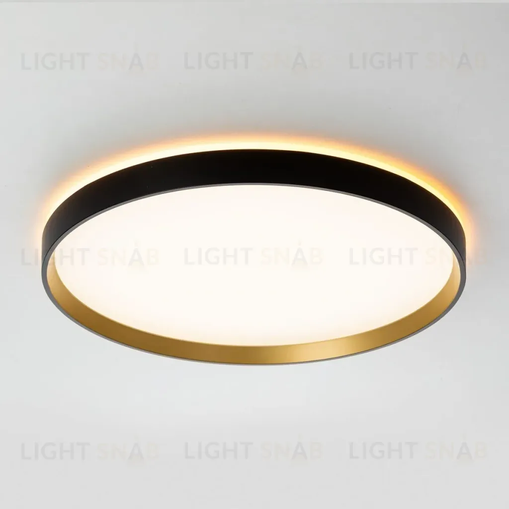 Потолочный светильник Citilux Etalon CL750401R CL750401R