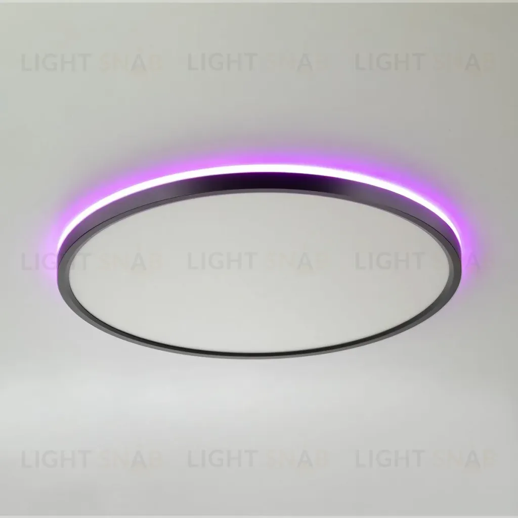 Потолочный светильник Citilux Norma CL749401 CL749401