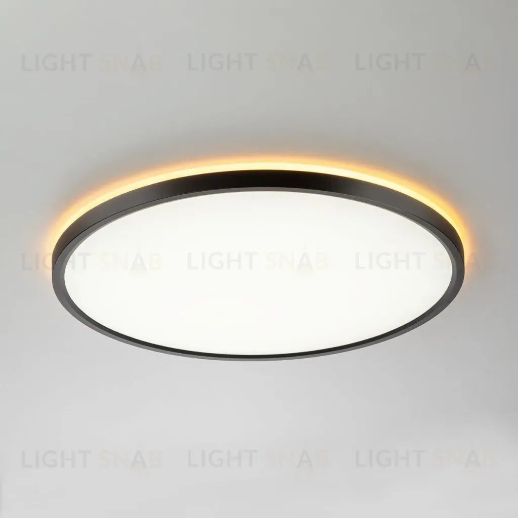 Потолочный светильник Citilux Norma CL749401 CL749401