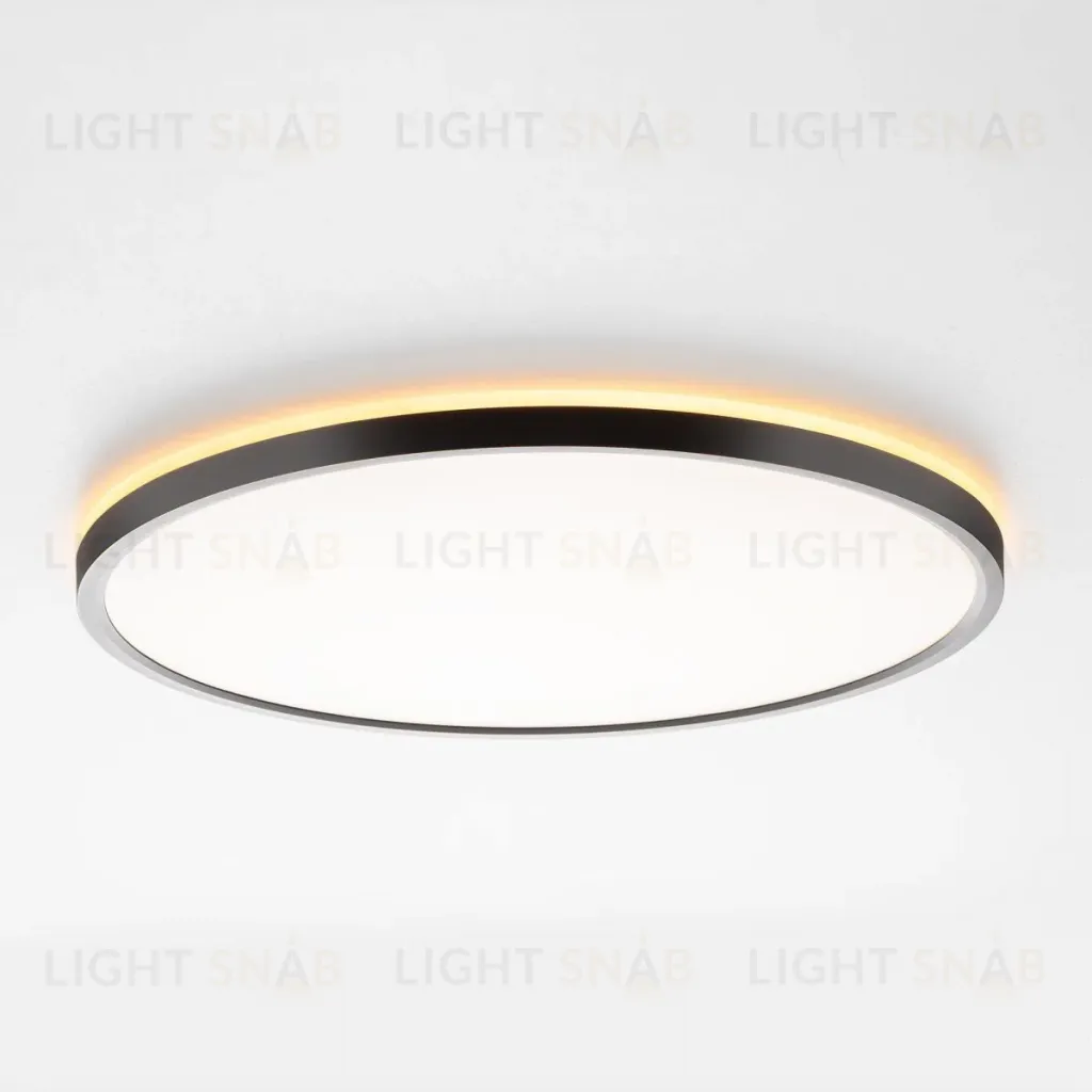 Потолочный светильник Citilux Norma CL749401 CL749401