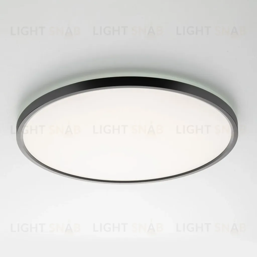 Потолочный светильник Citilux Norma CL749401 CL749401