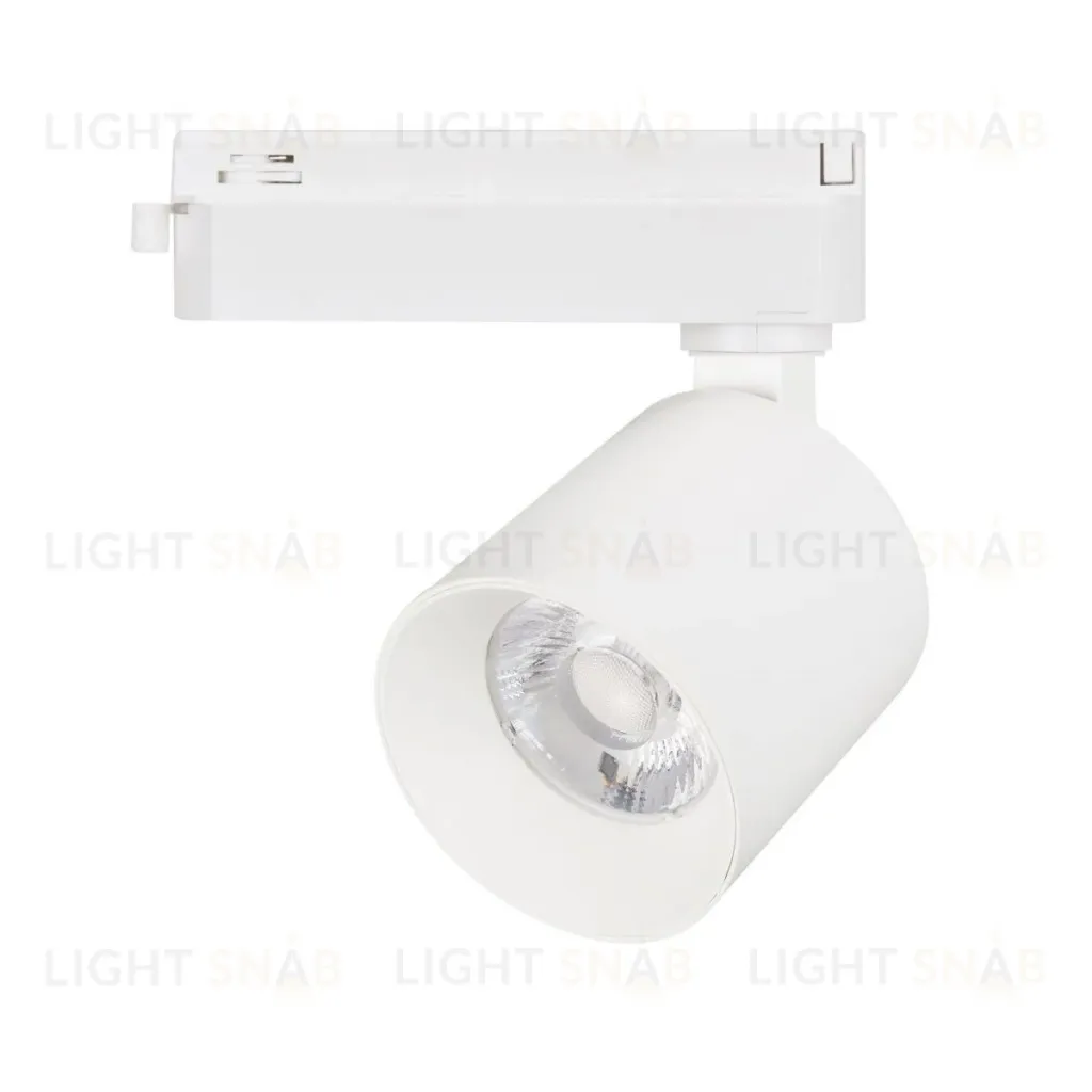 Трековый однофазный светильник Arlight LGD-DYKE-2TR-R75-16W Day4000 (WH, 38 deg, 230V) 052262 052262