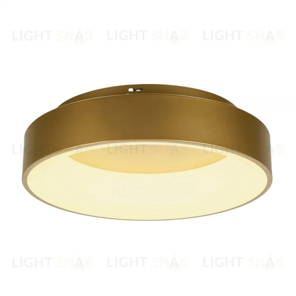 Потолочный светильник Myfar Shannon MR2195-1PL MR2195-1PL