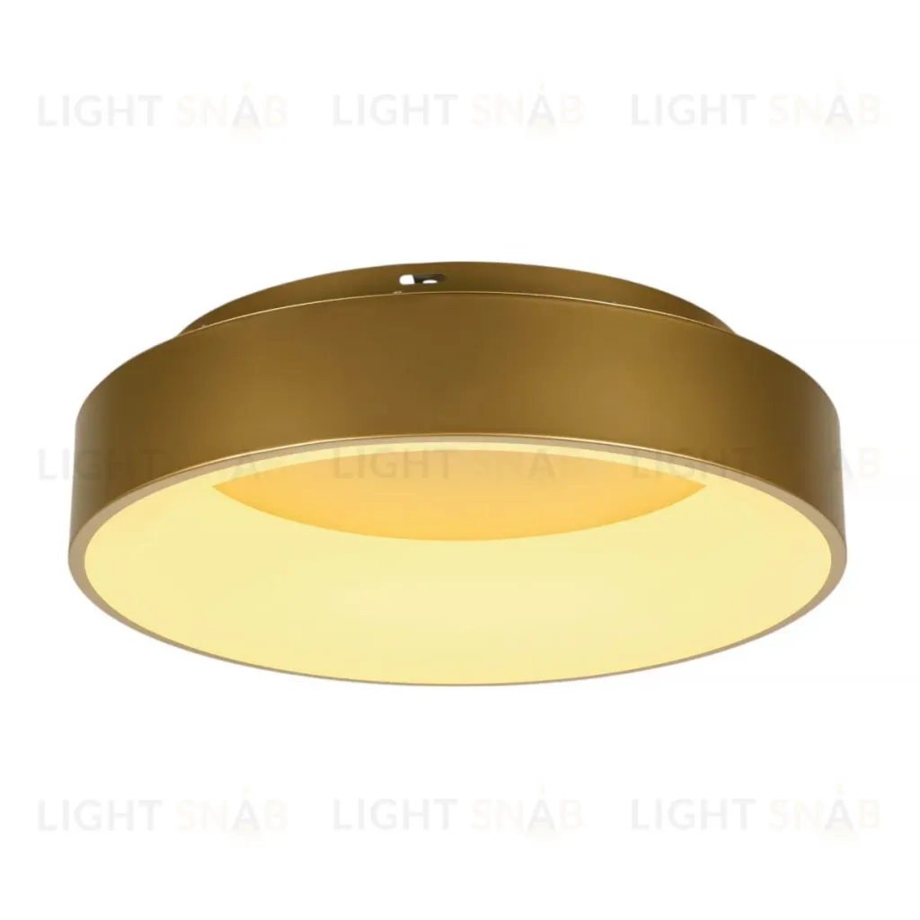 Потолочный светильник Myfar Shannon MR2195-1PL MR2195-1PL