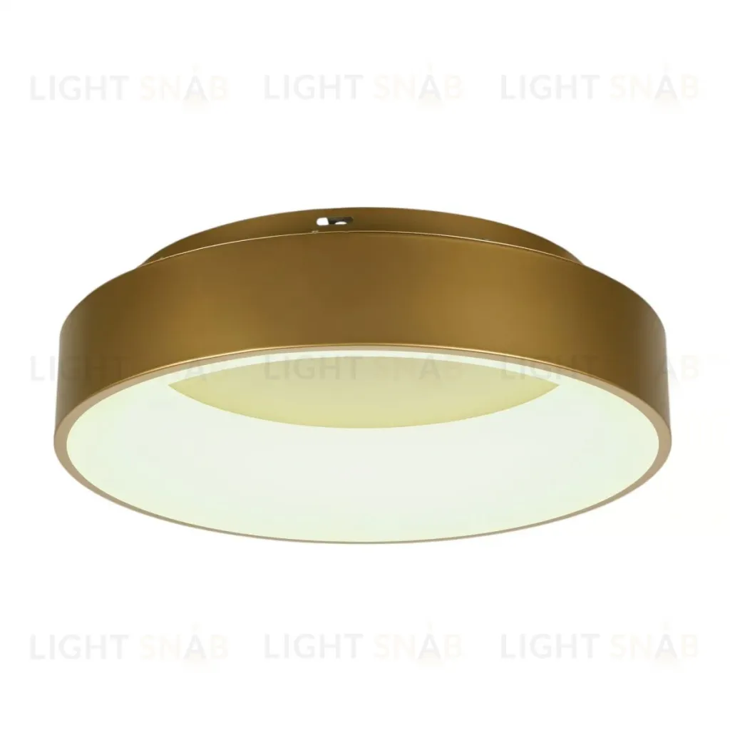 Потолочный светильник Myfar Shannon MR2195-1PL MR2195-1PL
