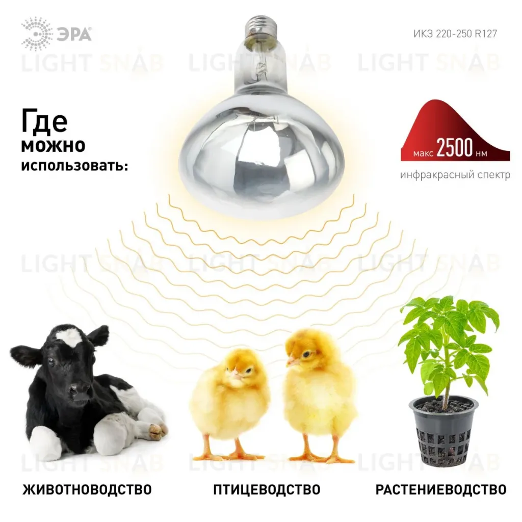 Инфракрасная лампа для обогрева животных и освещения Эра ИКЗ 220-250 R127 E27 Б0055440 Б0055440