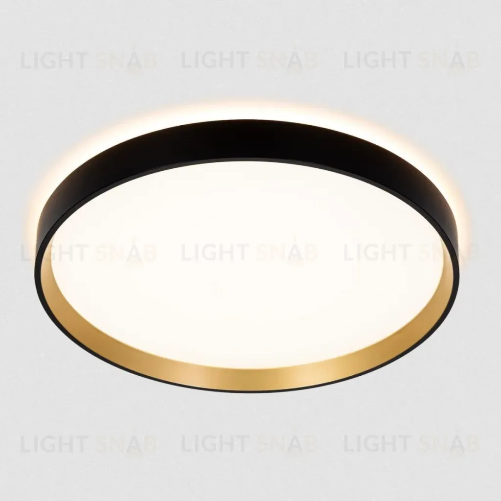Потолочный светильник Citilux Etalon CL750321R CL750321R