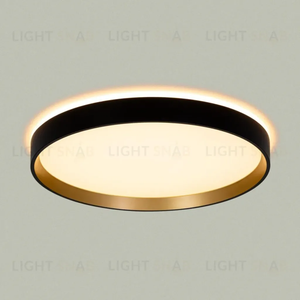 Потолочный светильник Citilux Etalon CL750321R CL750321R