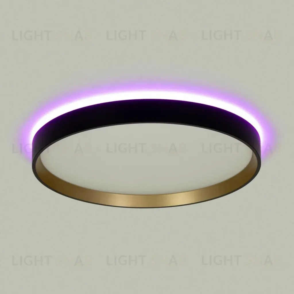 Потолочный светильник Citilux Etalon CL750321R CL750321R
