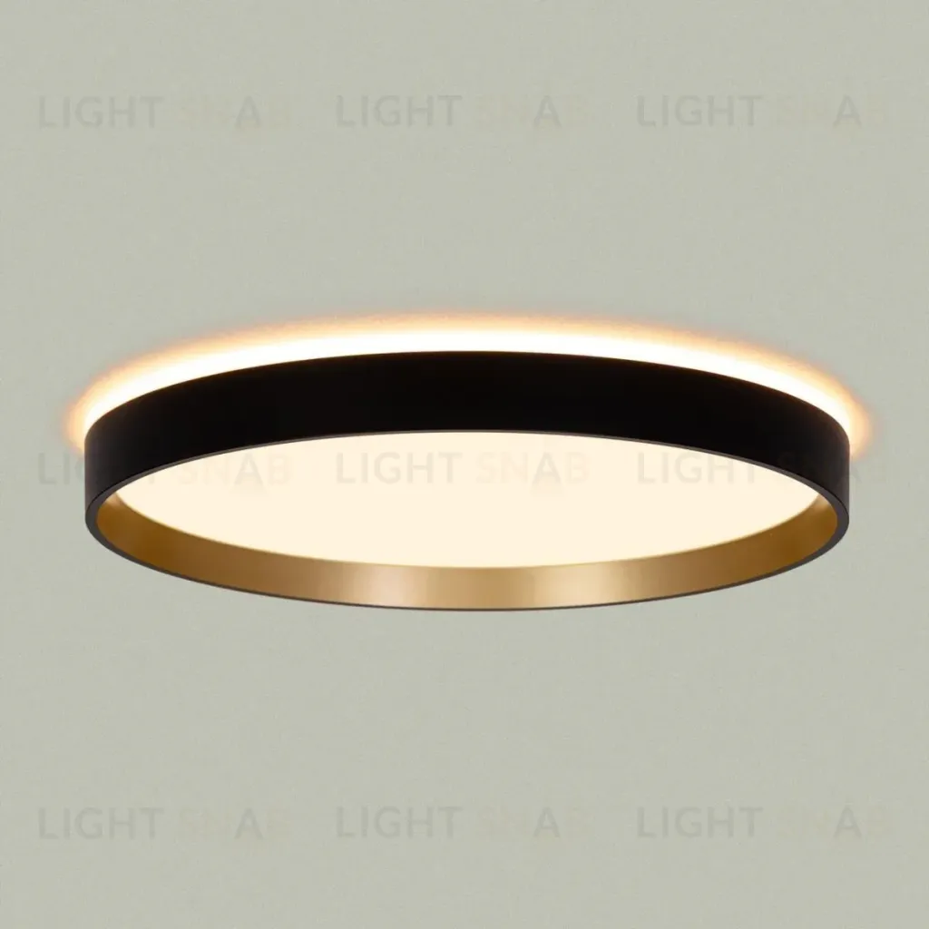 Потолочный светильник Citilux Etalon CL750321R CL750321R