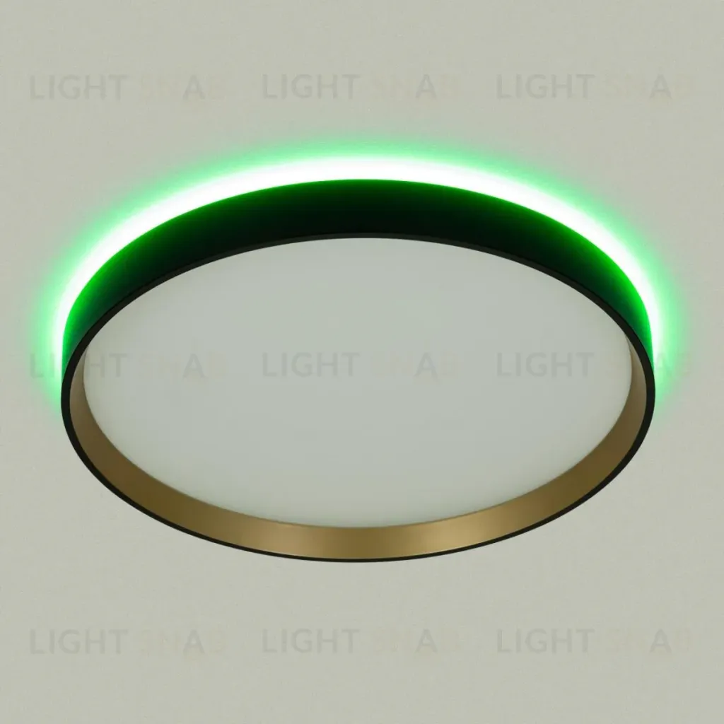 Потолочный светильник Citilux Etalon CL750321R CL750321R