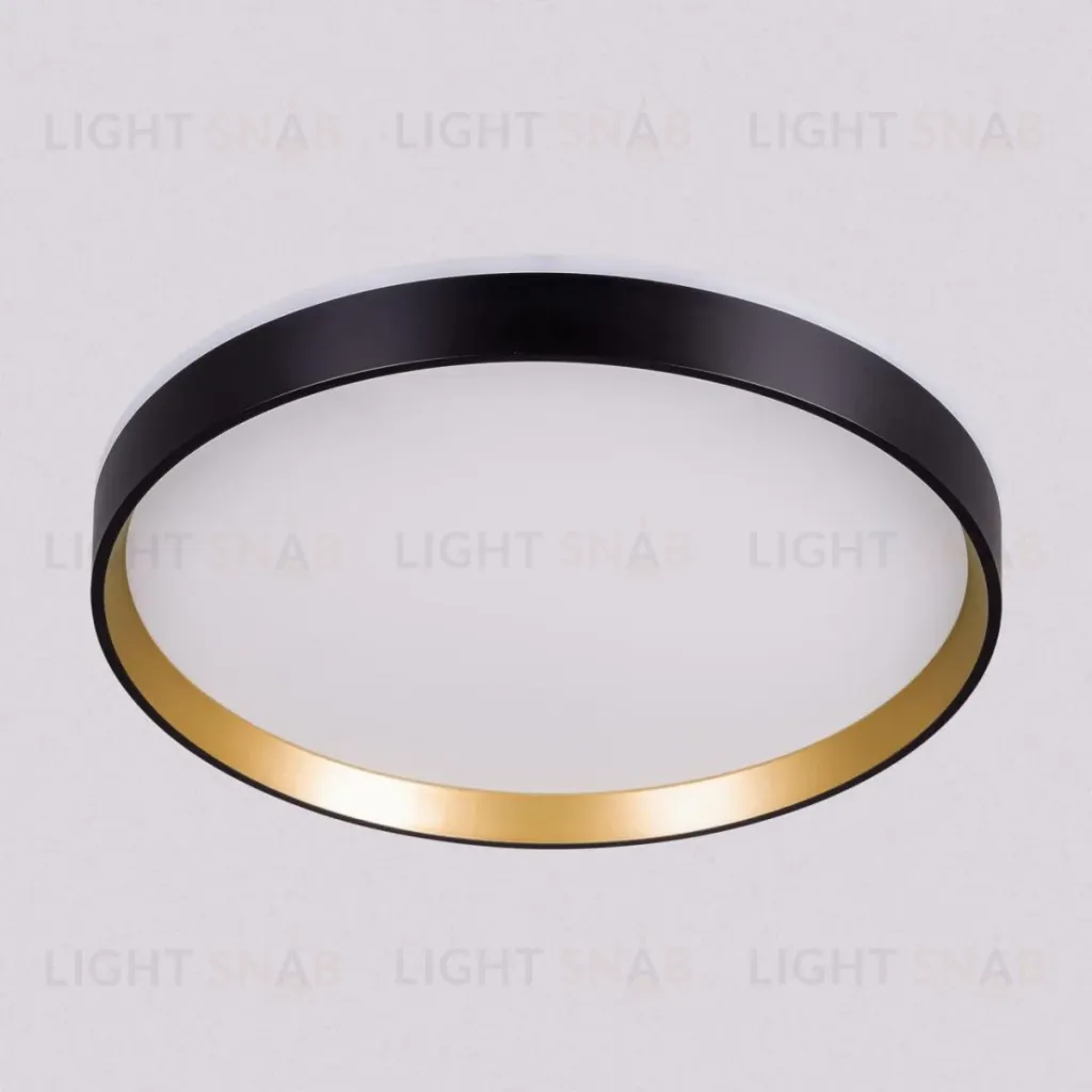 Потолочный светильник Citilux Etalon CL750321R CL750321R