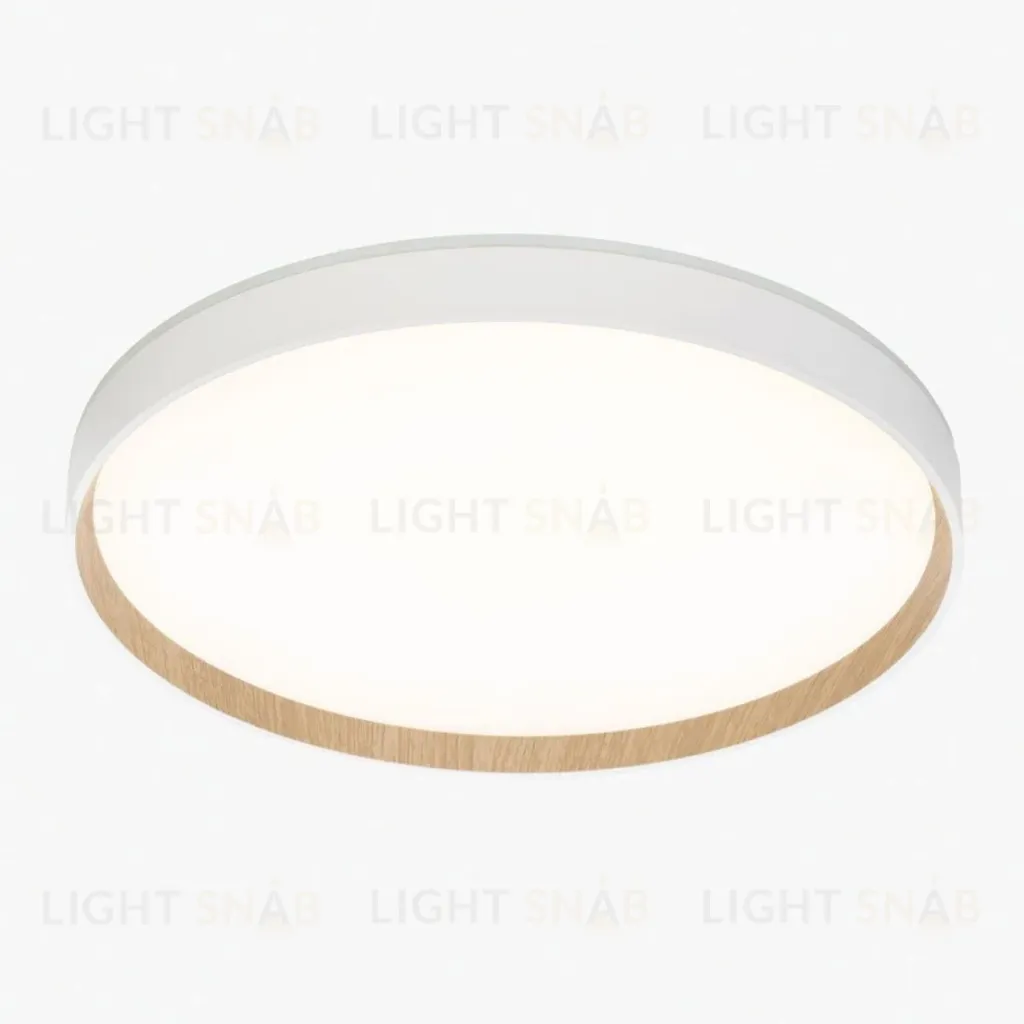 Потолочный светильник Citilux Etalon CL750400R CL750400R