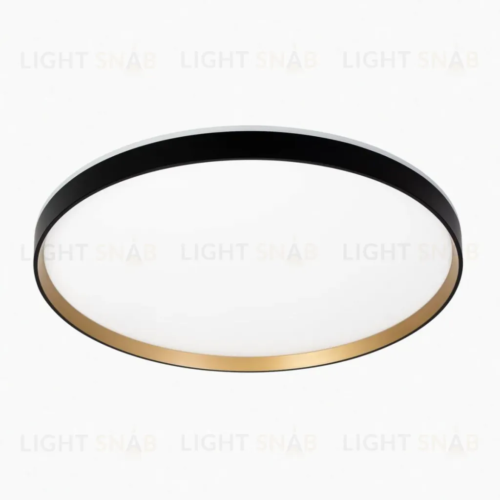 Потолочный светильник Citilux Etalon CL750501R CL750501R