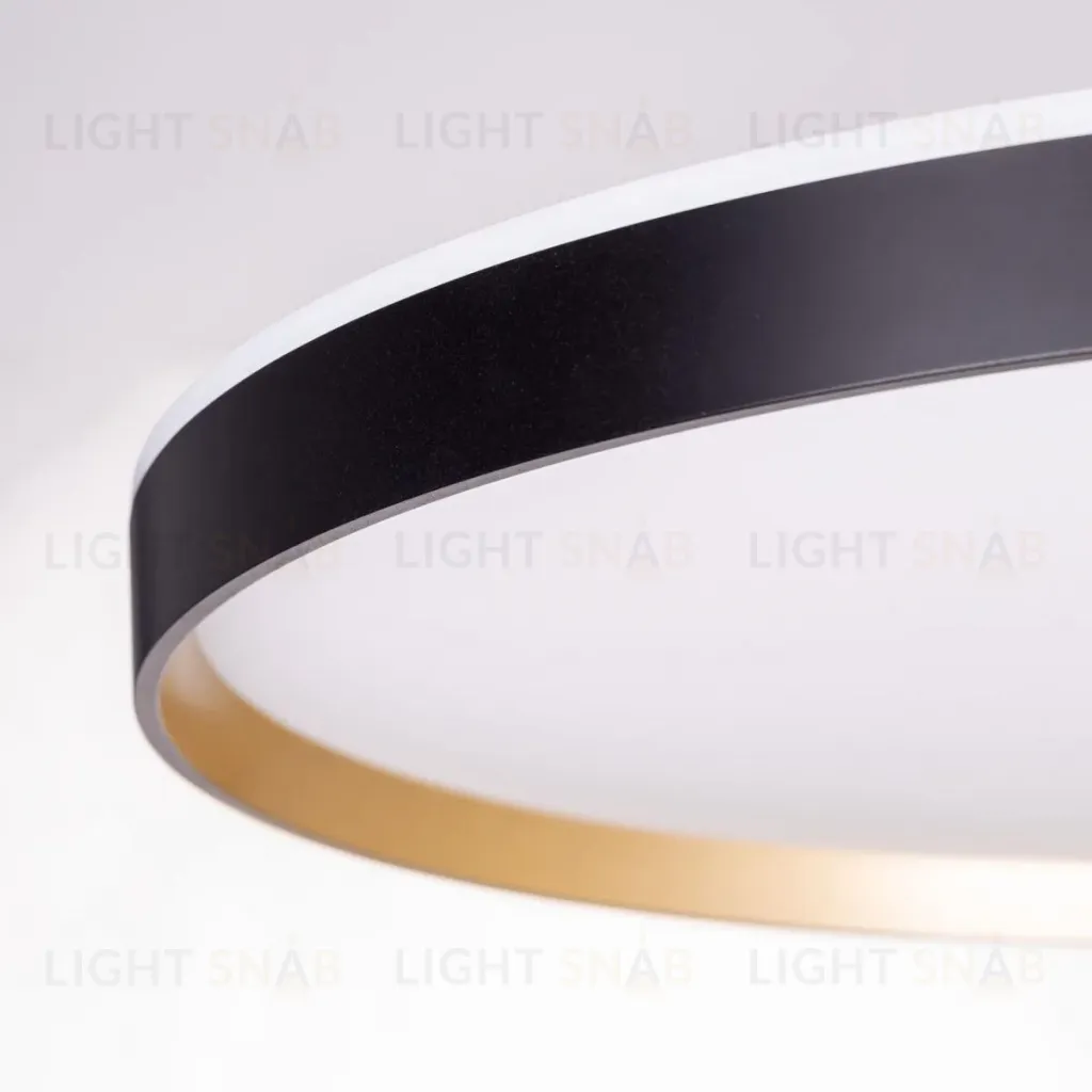 Потолочный светильник Citilux Etalon CL750501R CL750501R