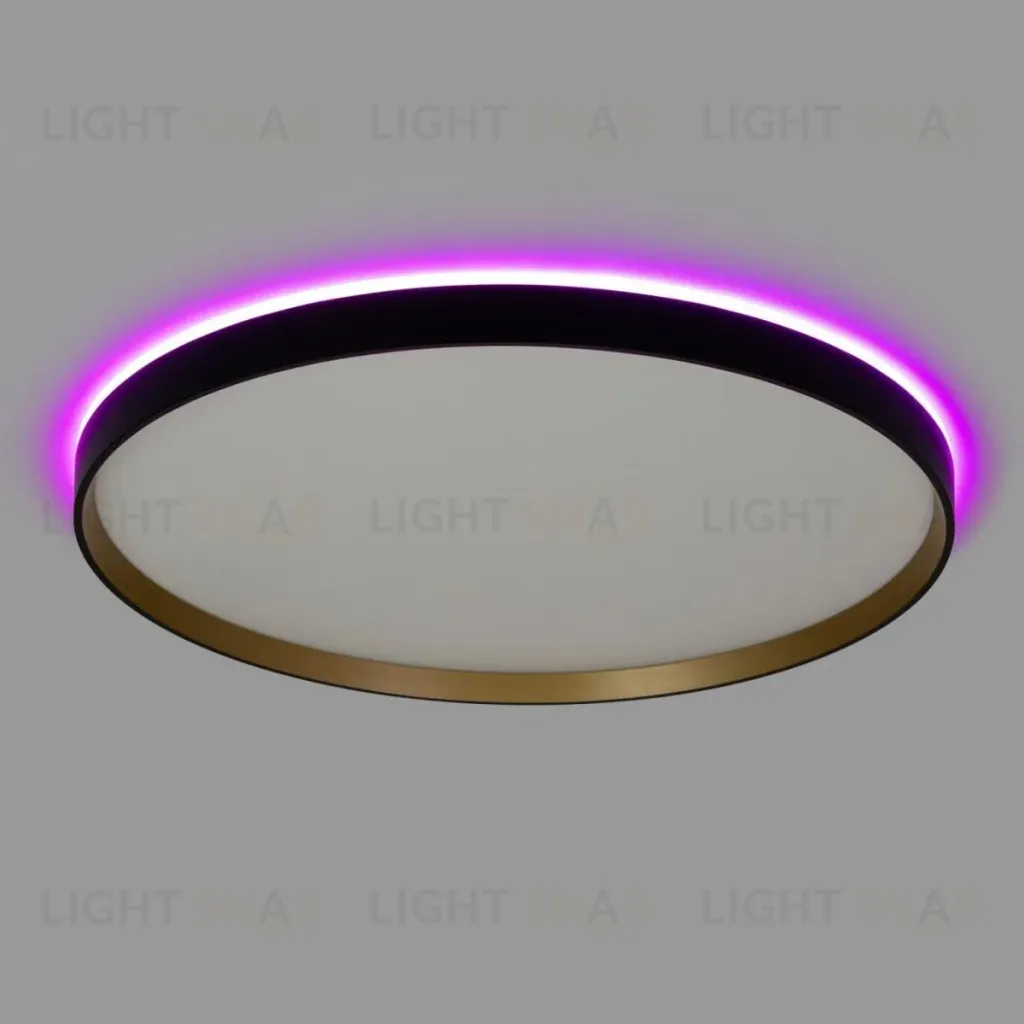 Потолочный светильник Citilux Etalon CL750501R CL750501R