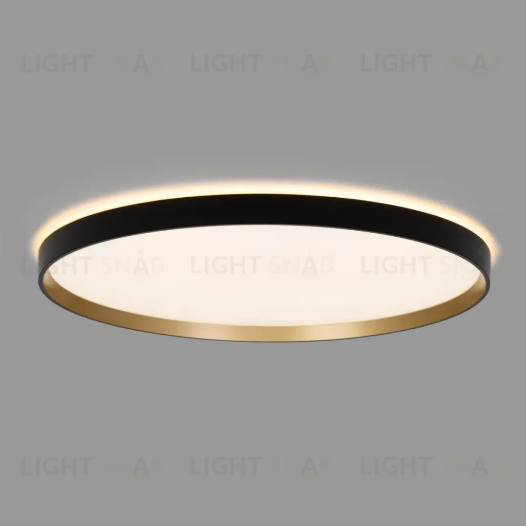 Потолочный светильник Citilux Etalon CL750501R CL750501R