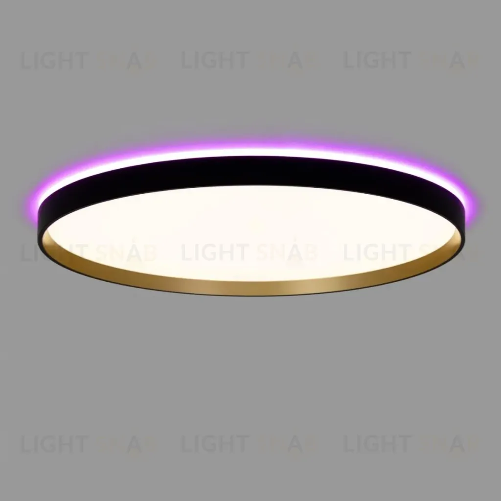 Потолочный светильник Citilux Etalon CL750501R CL750501R