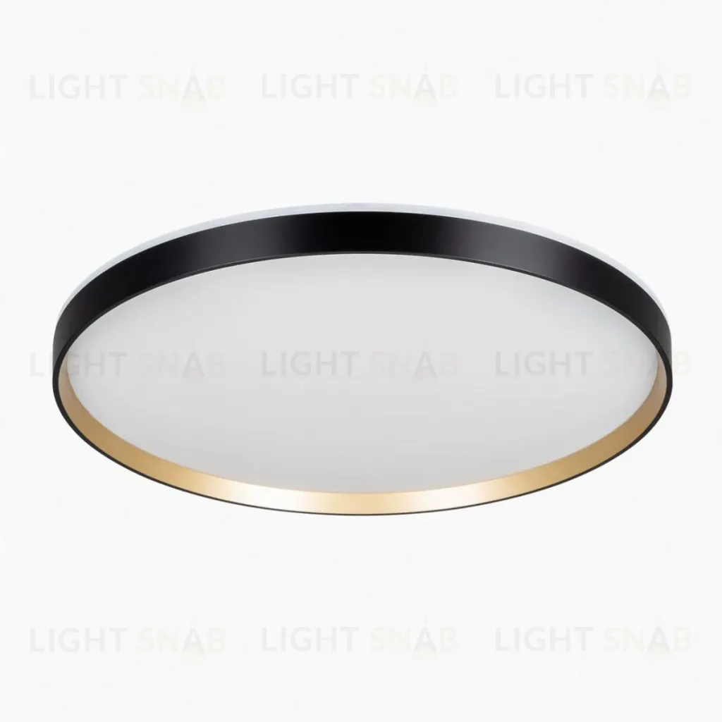 Потолочный светильник Citilux Etalon CL750501R CL750501R
