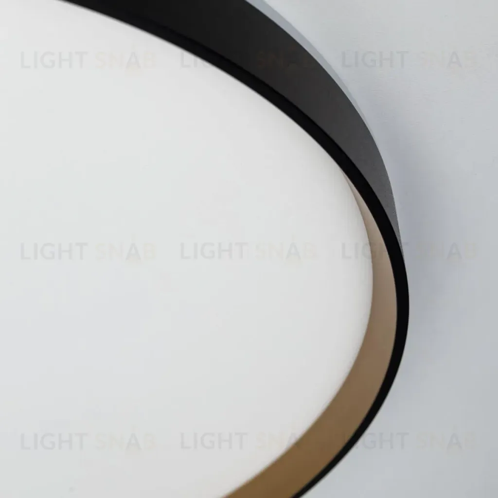 Потолочный светильник Citilux Etalon CL750501R CL750501R