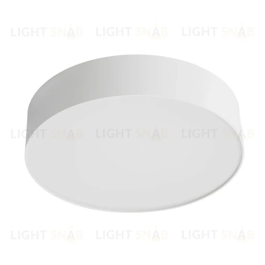 Потолочный светильник Citilux Bart CL755290 CL755290
