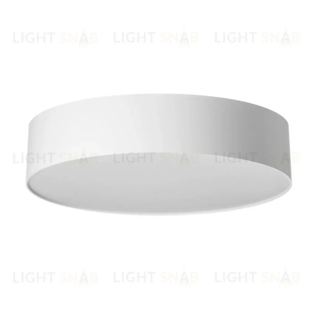 Потолочный светильник Citilux Bart CL755290 CL755290