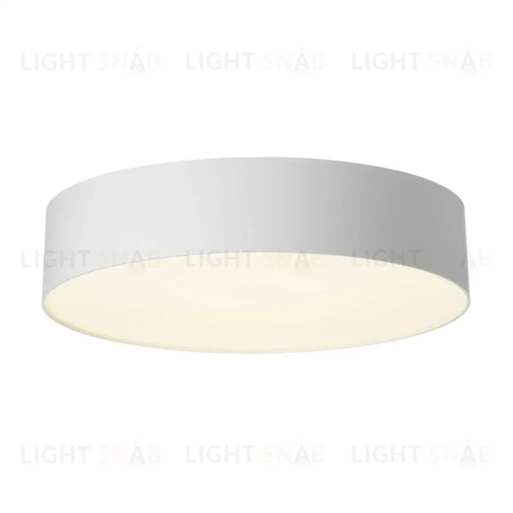 Потолочный светильник Citilux Bart CL755290 CL755290