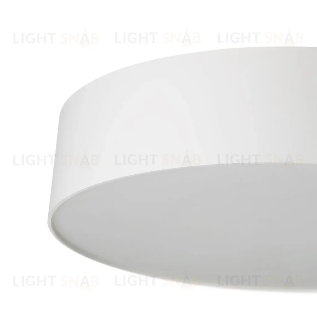 Потолочный светильник Citilux Bart CL755290 CL755290